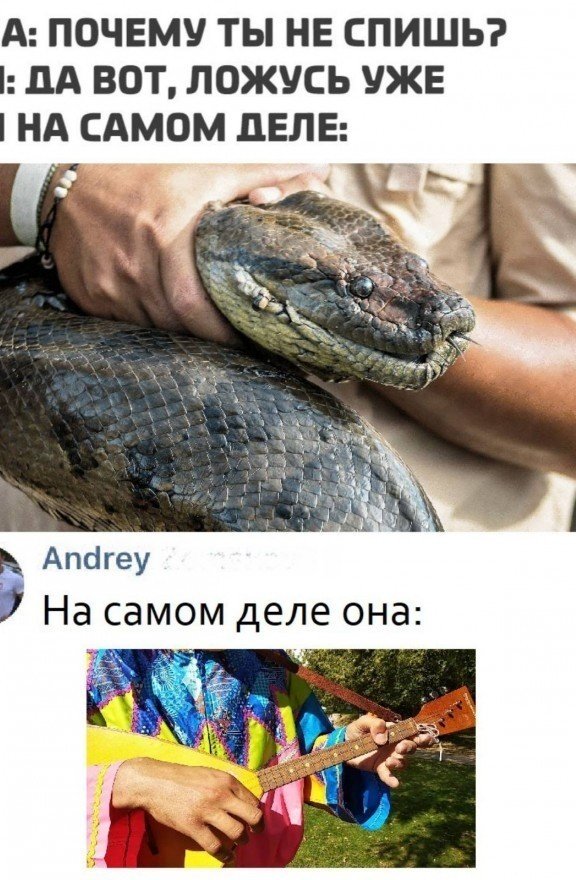 Немного слегка пошлых картинок с надписями и без