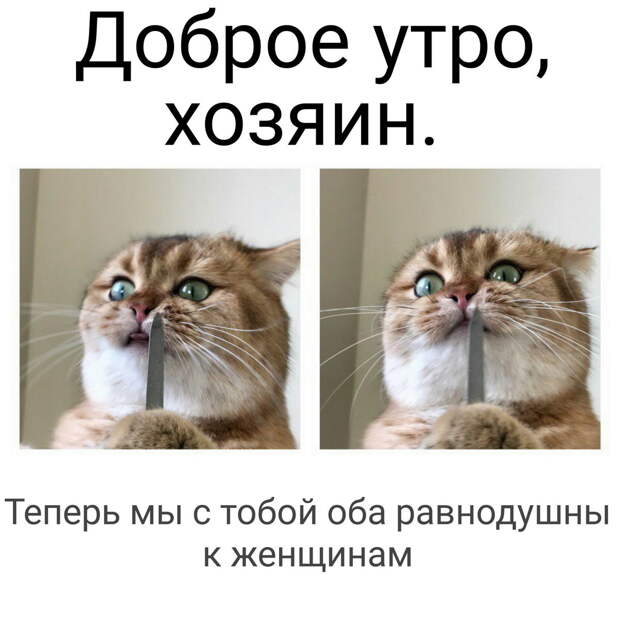 прикольные и интересные фото на pixmafia.com