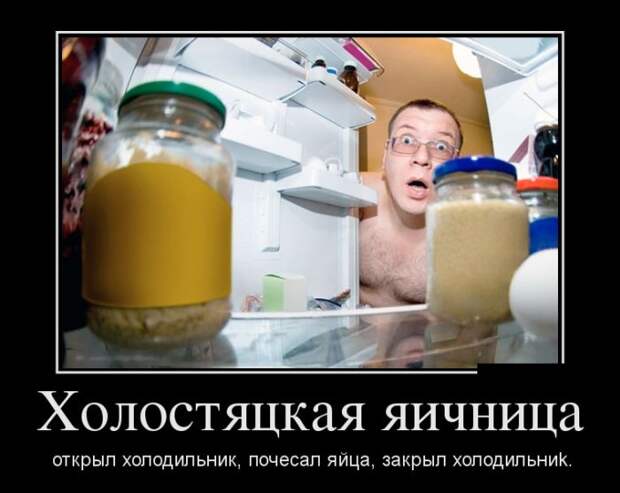 Демотиваторы (30 фото)