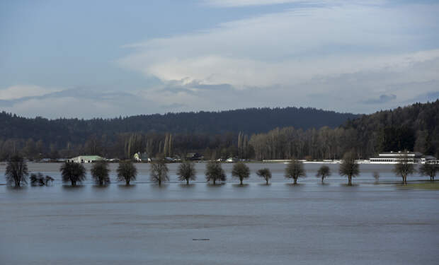 У берегов США произошло мощное землетрясение