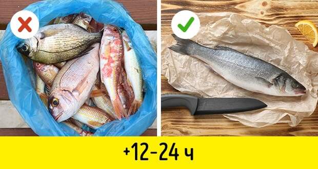 10 секретных приемов, как хранить свежую рыбу