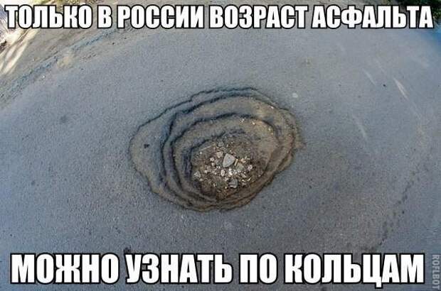 Прикольные картинки с надписями для поднятия настроения (11 фото)