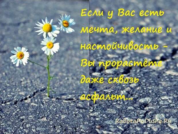 зачем нужна цель в жизни