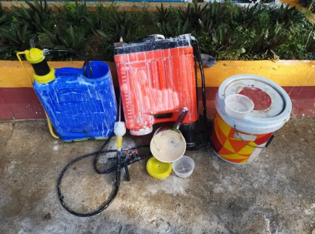 Как бороться с сорняками на дорожках