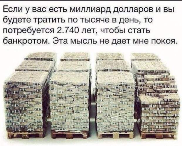 картинки прикольные смешные (21)