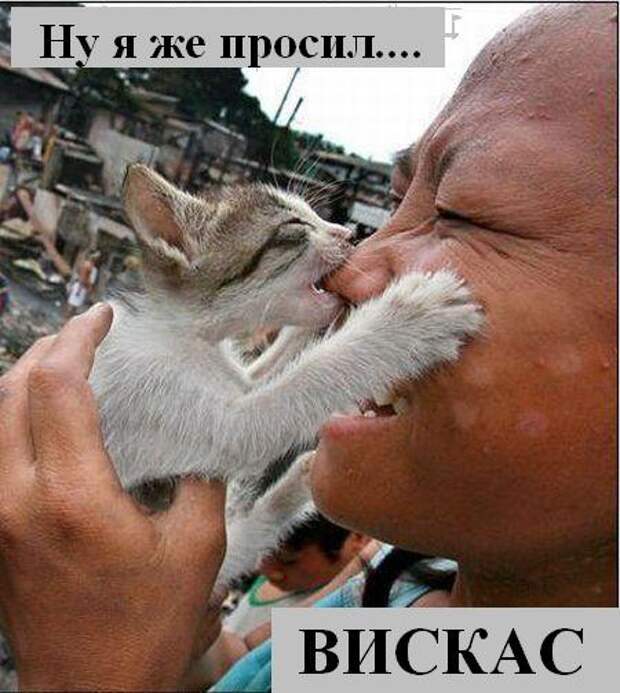 Мысли2 :) (50мыслей)