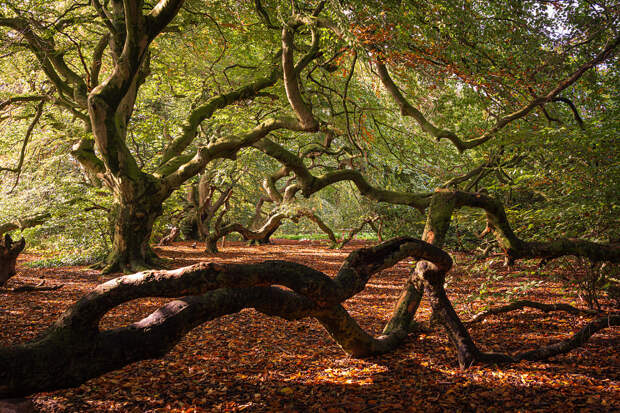 Early Autumn  by Michael Brüss on 500px.com