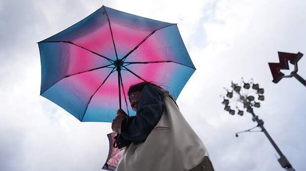 В Гидрометцентре спрогнозировали грозу местами и до +33 градусов в Москве 8 июля