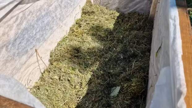 Высокие грядки из досок для отличного урожая