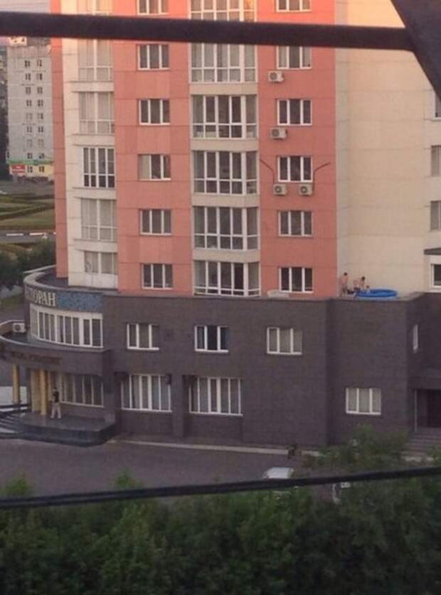 Жаркое лето (15 фото)