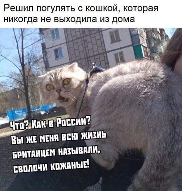 2-19.jpg