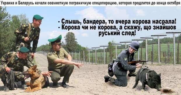 Политические комментарии из инета