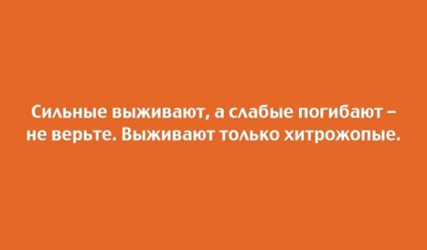 Забавные открытки с неожиданным финалом (22 скриншота)