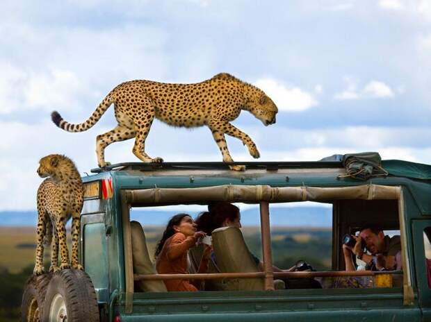 Лучшие фотографии National Geographic за сентябрь, 2013 Лучшие фотографии National Geographic за сентябрь, 2013