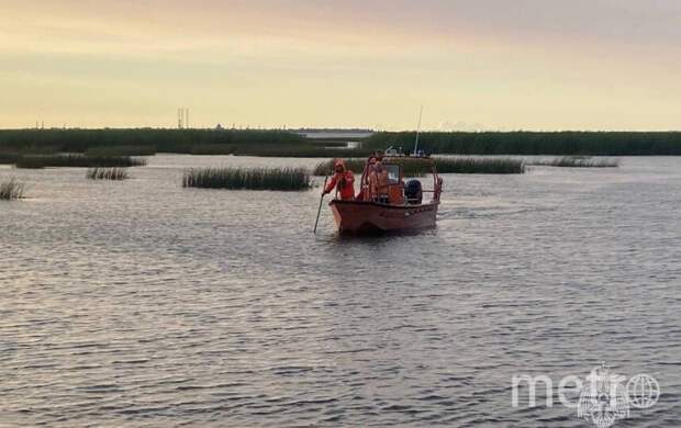 Семилетняя вплавь спаслась с лодки в Финском заливе. Во время прогулки отец нырнул за сыном