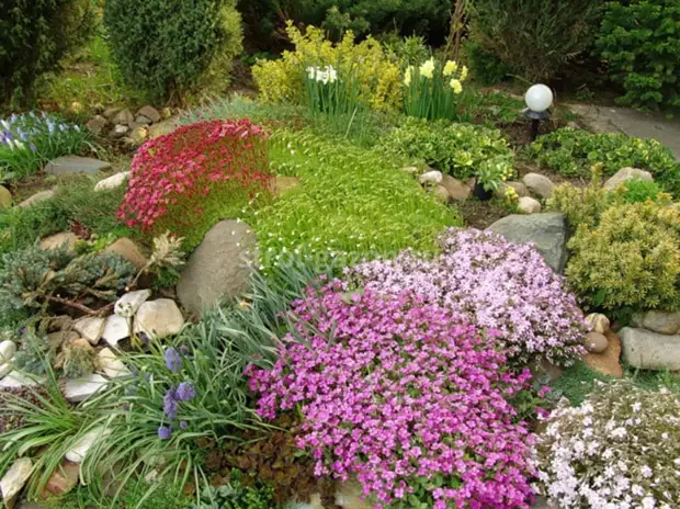 15 красивых растений, которые лучше всего подходят для альпийской горки