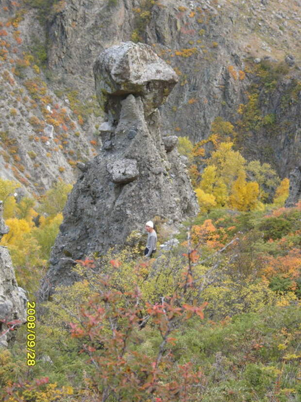 Откуда берутся знания? И в чём причина нашей жизни?