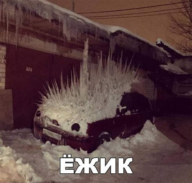 Смешные картинки с надписями прикол, юмор