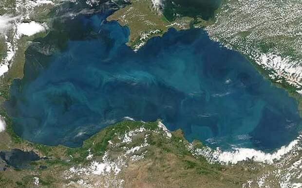 Чем опасны воды Черного моря