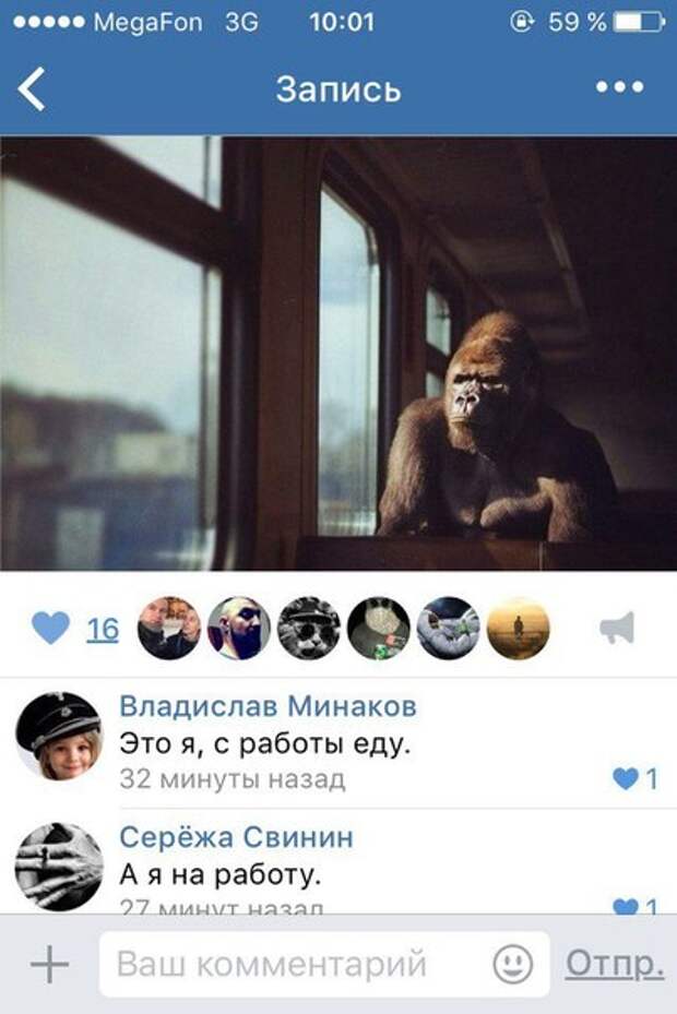 Приколы