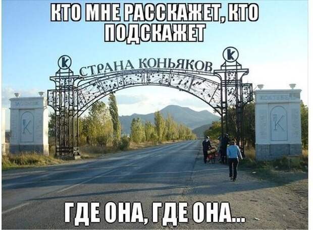 Картинки с надписями мем, прикол, юмор