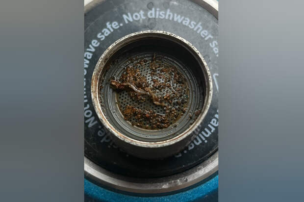 Жители Узловой сообщили о червях в воде из-под крана