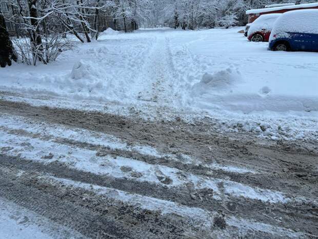 Власти Петербурга признали провал эксперимента с реагентом «Бионорд»