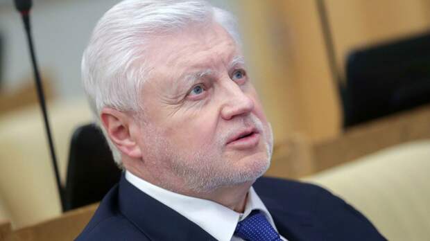 Миронов считает идею цифрового портфолио школьника сомнительной  