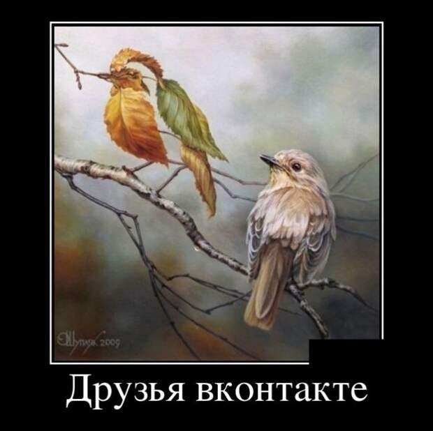 Забавные воскресные демотиваторы для позитива (10 фото) Забавные воскресные демотиваторы для позитива (10 фото)