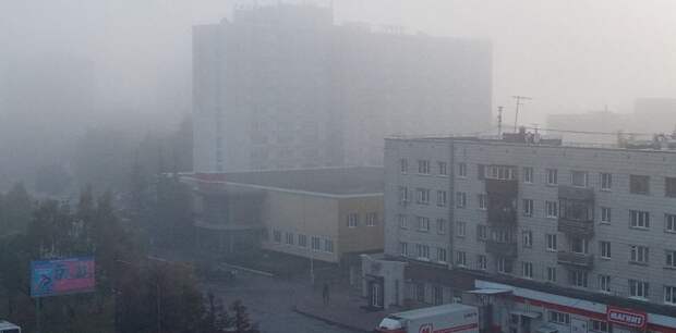 Барнаул накрыло густым туманом утром 7 октября. Фотоподборка