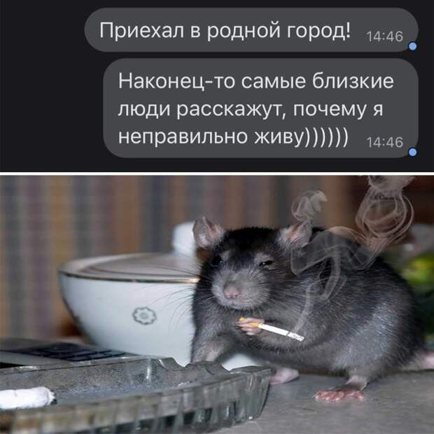Смешные картинки 6 января 2022 года