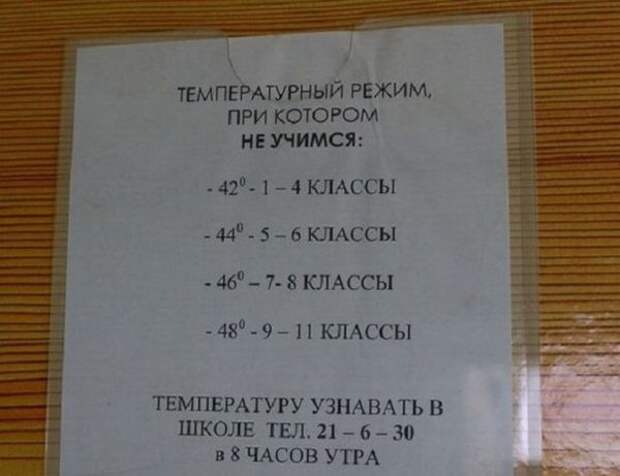 Уникальный айфон, директор-уничтожитель и другие школьные объявления-24 фото-