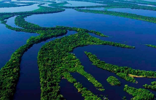 Амазонка уникальная сама по себе Амазонка уникальная сама по себе