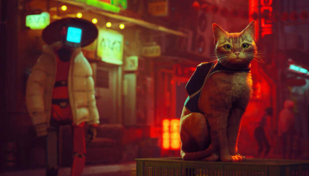 FIFA 23, Cyberpunk 2077, Modern Warfare 2 и Stray — в свежем чарте Steam