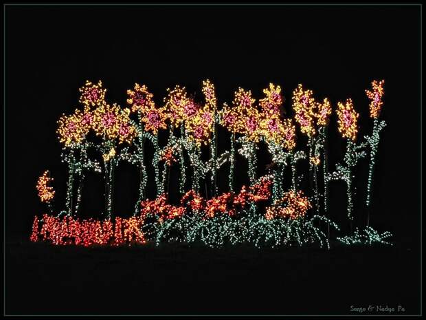 Garden d'Lights 2008 - 057 Garden d'Lights 2008 - 057