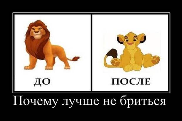 Демотиваторы (30 фото)