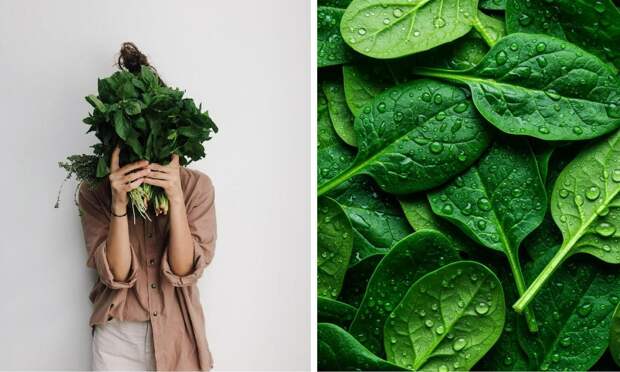 Дефицит клетчатки за три дня может нарушить работу памяти