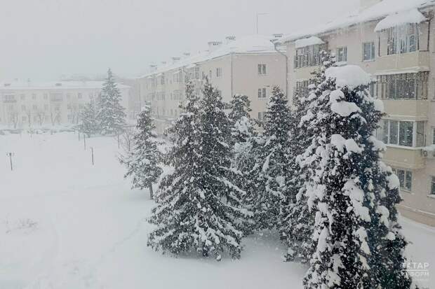 В начале января в Татарстан после недолгих морозов придет оттепель с метелями и заносами