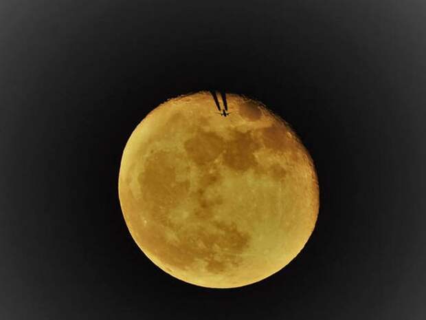Смешные моменты, угодившие на фотоснимок (43 фото)