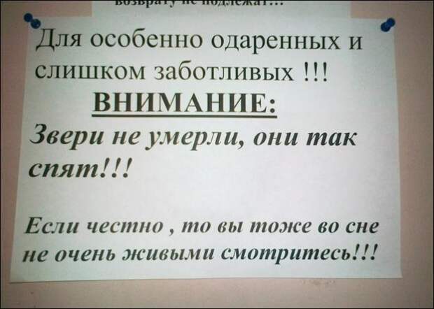 Добро пожаловать в зоопарк!