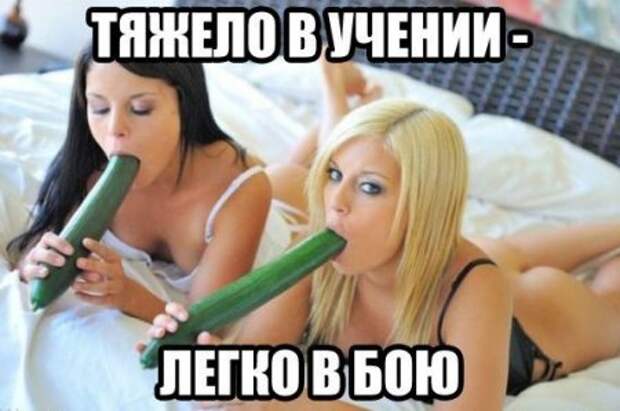 Приколы и приколихи.