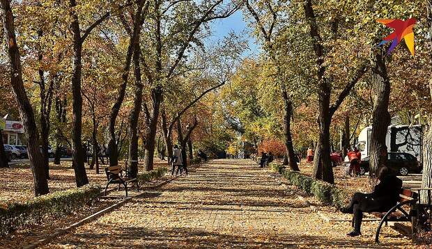 Осень в донецком парке. ФОТО Евгении КАРПАЧЕВОЙ