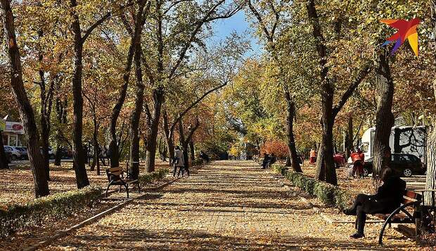 Осень в донецком парке. ФОТО Евгении КАРПАЧЕВОЙ 