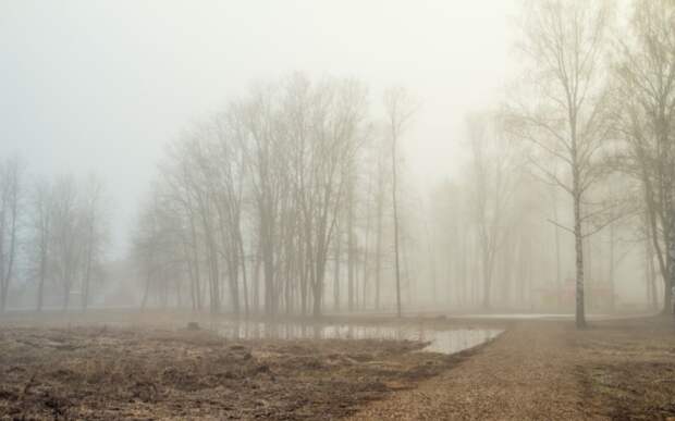 Метеопредупреждение из-за тумана выпустило МЧС по Рязанской области