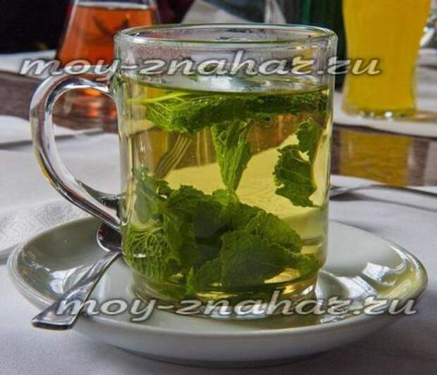 Чай из листьев смородины: польза и вред
