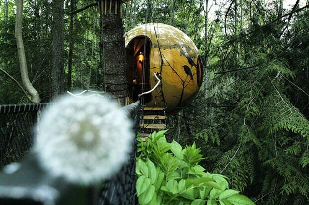 сферический дом на дереве: Экодом своими руками