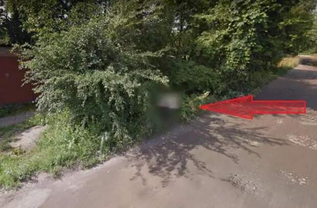 Харьковчанин делал грязные делишки в кустах и попал в Google Maps