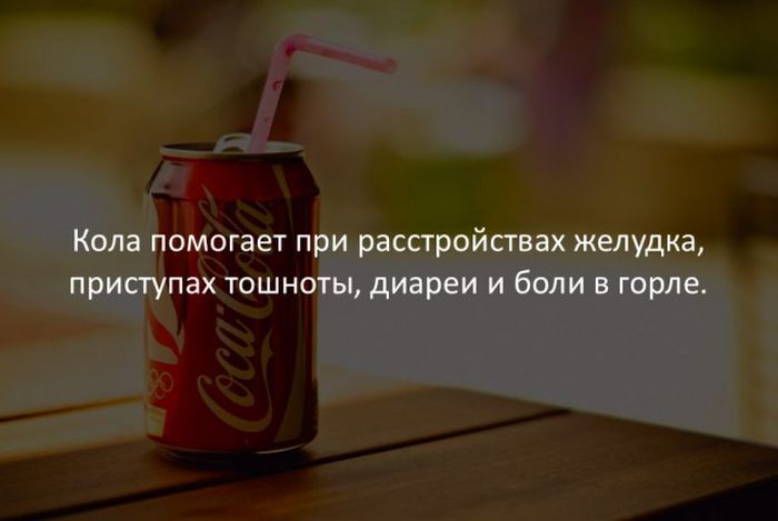 Интересные факты обо всем на свете