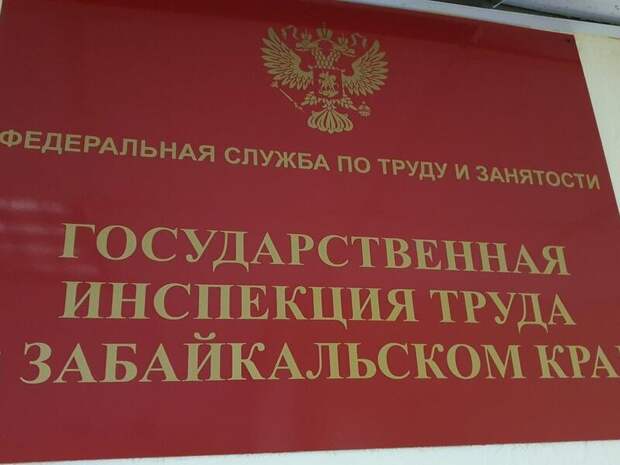 Трудовая инспекция заинтересовалась инцидентом с лесным пожарным