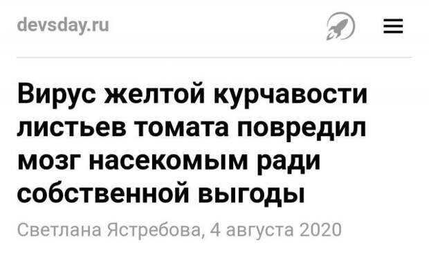 Забавные и смешные заголовки из СМИ